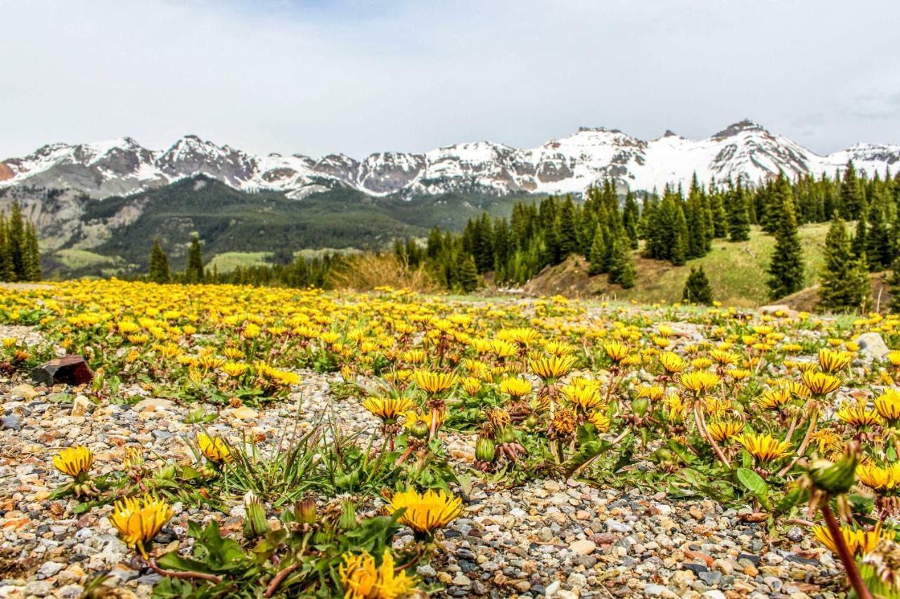 Rocky Mountain Lookout Hotel เทลลูไรด์ ภายนอก รูปภาพ